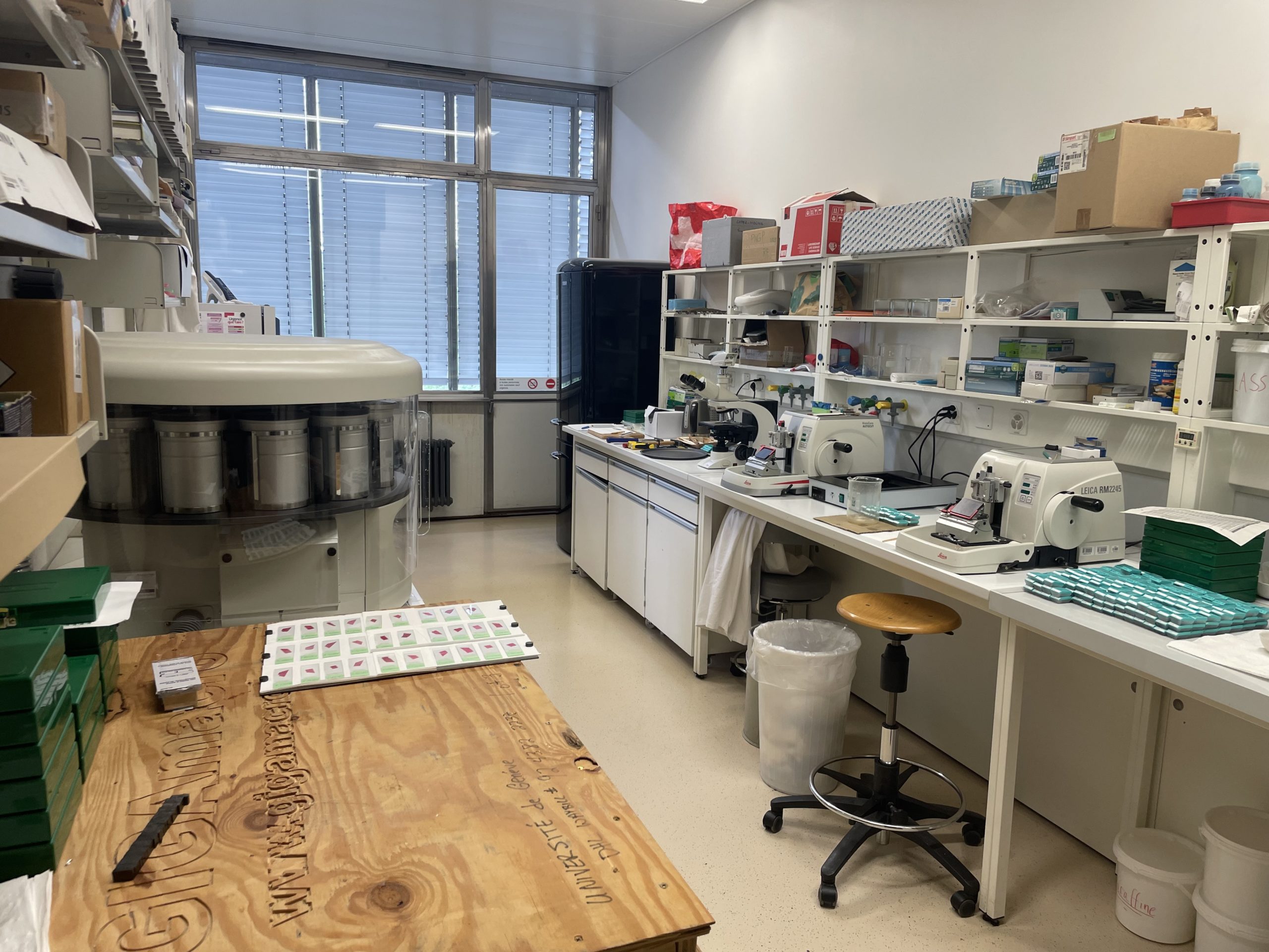 Lab facilities - Dendrolab